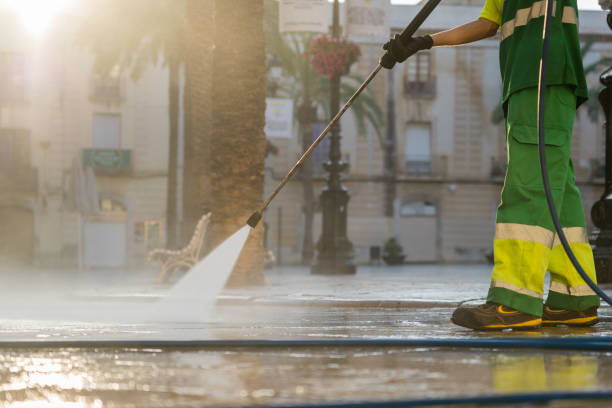 Best Deck Pressure Washing  in Ludowici, GA